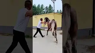 With the true spirit of the little guy