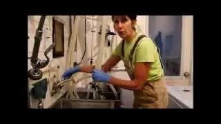 In the Parlor with Gianaclis Part 1: Milking Set-up