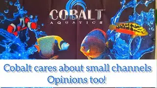 Does Cobalt stack up?!
