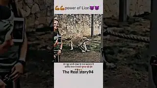 💪💪power of Lion 😈😈 #shorts #power of Lion #The Real story94 #trending #viral #short #Lion attitude