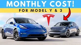 Tesla Model Y & 3 - Can You Afford It? | Monthly Cost Breakdown!
