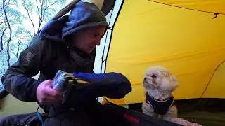 How NOT to CAMP with a very small DOG