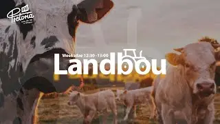 Landbou - 27 Februarie 2025 - Landboumarkte en weerverskynsels