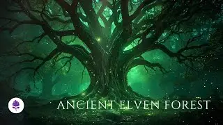 Ancient Elven Forest | Epic Fantasy Ambient Music | Relaxing D&D Soundscape