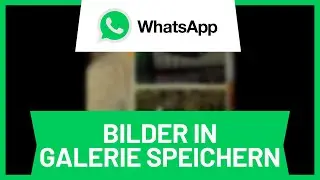 Whatsapp Bilder in Galerie Speichern (2024) • Tutorial