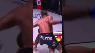 Highlight reel with spinning elbow  😱 #knockout #ufc #mma  #fighter #shorts #edit #gym #mmafighter