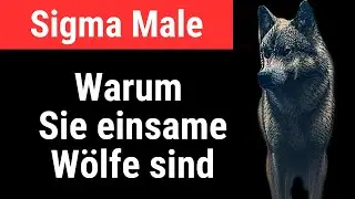 Warum Sigma-M&auml;nner als einsamer Wolf durchs Leben gehen
