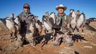 Goose Hunting TEXAS Littles (TEXAS LESSER HUNT!)