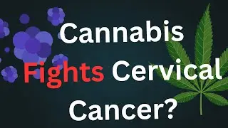 How Cannabinoids May Help Treat Cervical Cancer | Research and Human Cases | Cannabis For Cancer