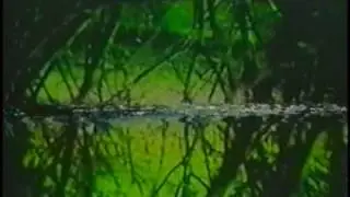 Neil Rolnick:  Requiem Songs - Deep is the Sea & The Bee