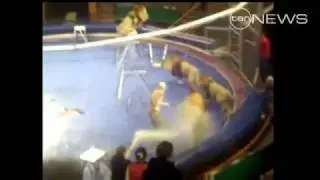 Lions Turn On Tamer