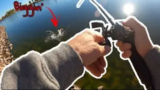 Fall Jerkbait Fishing - Colorado Pond Hopping