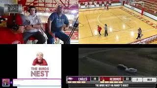 The Birds Nest Live Stream