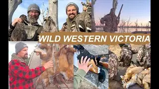 Wild Western Victoria || Duck Hunting & Fox Drive with Honker Hunters