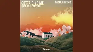 Gotta Give Me (TWOMUCH Remix)