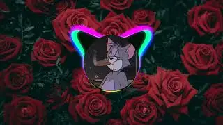 XXXTENTACION - RIP Roach (Lofi Remix)