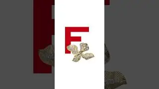 To win her heart, only singular and audacious flowers will do. Discover F is for Flower.
