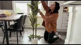 Realistic 6ft Fake Rubber Tree for Home Decor #ad