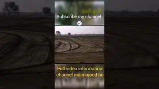 Sasti zameen for sale #businesspoint #land #landforsale #landpurchase #agriculture #construction