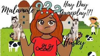 Hay Day | Все собаки из коллекции Howlidays собраны!?!