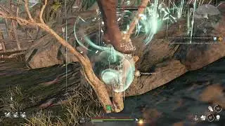 Bless playing Ranger~