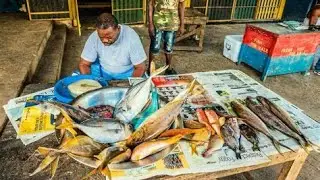 Fishing village! Get fish like a local 🎣 Montego Bay Jamaica.