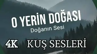 Doğa Ve Kuş Sesleri | #doğa #kuşsesi #life #nature