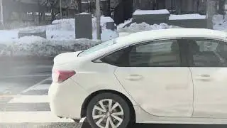What -20&deg;C Feels Like in Toronto Downtown ❄️ | Canada winter Reality 