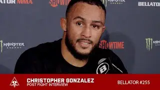 CHRIS GONZALEZ WINS VIA TAPPING TO STRIKES - BELLATOR 255
