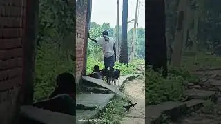 manoranjan video
