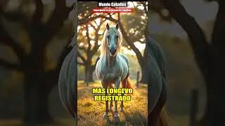 Caballo Longevity &iexcl;29 A&ntilde;os! 🐴 #caballos #trochaygalopecolombiano #horse