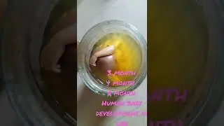 new##🧑&zwj;🔬🧑&zwj;⚕️short#2023short #human# baby# development#in #,lab#like #video #made #subscribe ###😊🌹❤️🙏