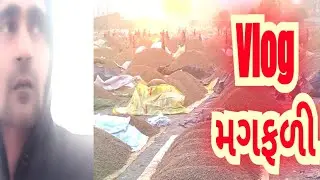 Peanuts VLOG | vlog ગુજરાતી મગફળી નો | मूंगफली vloge ||