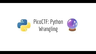 PicoCTF - Python Wrangling Walkthrough