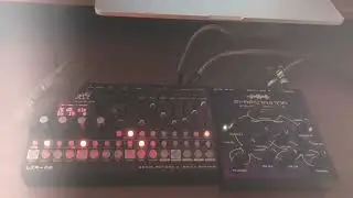 Moscow Sunday with LXR02+Jomox M resonator