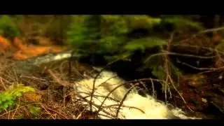 Tri lepa kišna dana - Zaovine na Tari