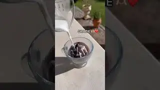 Sfera di CIOCCOLATO 🍫 per i 2.4M di FOLLOWERS di Pamela 💘