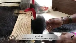 Hackling Full