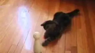 FroliCat BOLT Interactive Laser Pet Toy