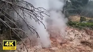 Only in Iceland! Geothermal forest with a natural chimney called fumarole 🇮🇸 4K