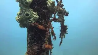 The Pole at the Japanese fuel pier in Guam