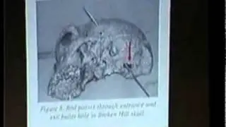Mystery of Human Origins