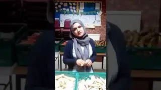 No meat and two veg