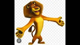 Alex the African Lion 🦁🦁🦁