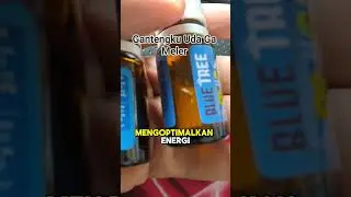 Gantengku Uda Ga Meler Lagi Berkat Blue Tree Olive Care Cold & Flu#shorts #racunshopee #racunbelanja