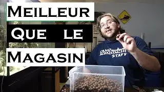 Filtration aquarium d'eau douce (tutoriel) comment faire?