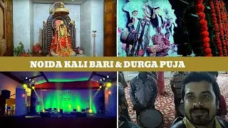 Durga Sasthi Puja & Pandal hopping in Noida | Durga puja 2019 | vlog#22