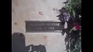 Meeting Marilyn OR Goodbye, Norma Jean November 2011