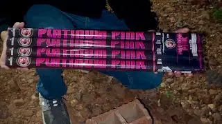 Platinum Pink Roman Candles