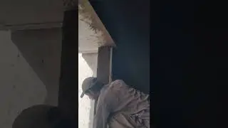 plaster work